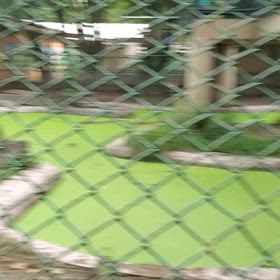 21日～23日、フィリピンへ37の画像