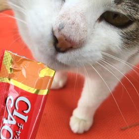 ララちゃんの過去の画像