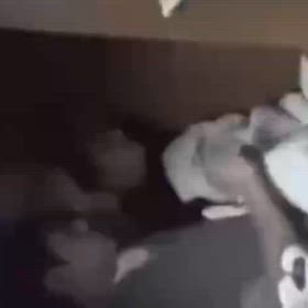 まだ可愛い頃の画像