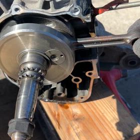  ショック(xдx;)の画像