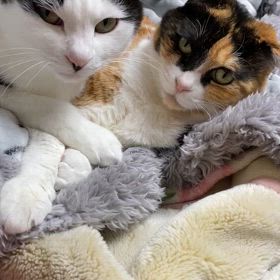 幸せだなあ〰︎の画像