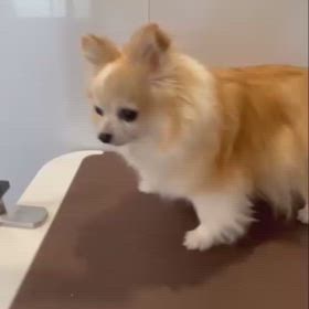 大学病院7月診察②の画像