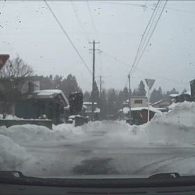 今日も、雪・・・の画像