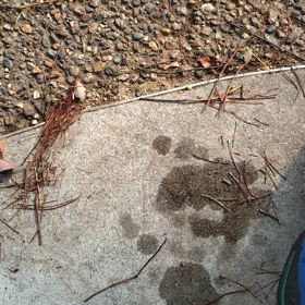 晴れところにより大雨の画像