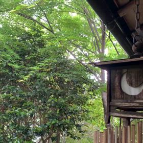 『外は大雨ですが…耳を澄ませてみて下さい♫清々しい気持ちになれます。』の画像
