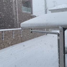 ありゃ‼️の画像