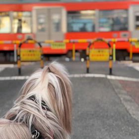 ニケちゃんの画像