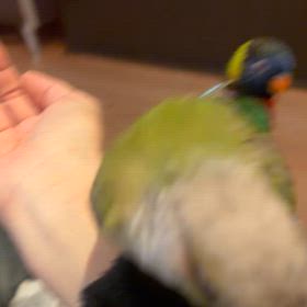 なんで？の画像