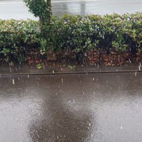 雪がすごいの画像