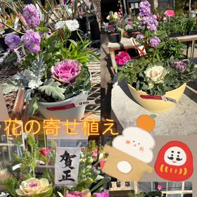 今年はありがとうございました！の画像