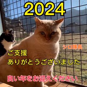2024年ご支援応援をありがとうございましたの画像