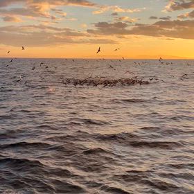 朝からヒット！の画像