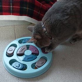 知育玩具の画像