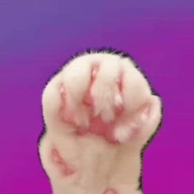 ムーンプリズムパワーの画像