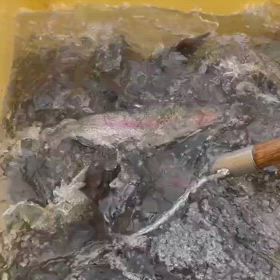 明日、4/28はすいております。の画像