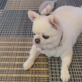 おはようの画像