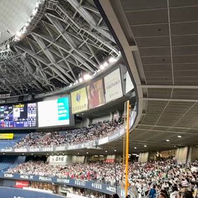 ヤヴァイの画像