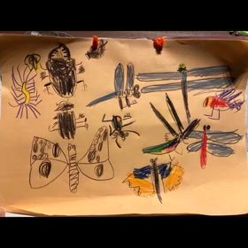 孫の成長の画像