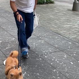 2024年11月17日の画像