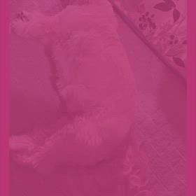 2024/03/06 風邪もらったの画像