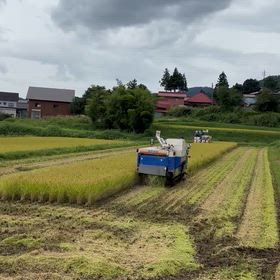 わかんないもんだよねʅ（◞‿◟）ʃの画像