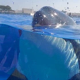 別れは辛かった(T_T)の画像