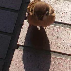 もう、すでに日常。なんなら、、、の画像