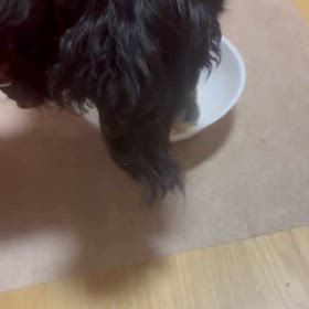 ラーメン好き❤️の画像