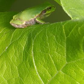 トントン拍子(^o^)&危なかった…の画像