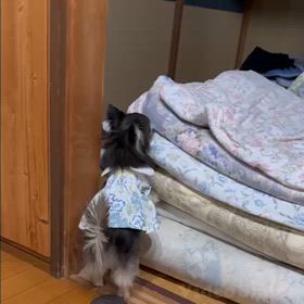 べるの大冒険の画像