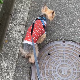 20歳キャバ嬢 Vログ風の画像