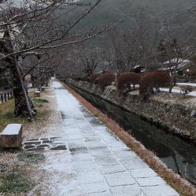 きょう一日の画像