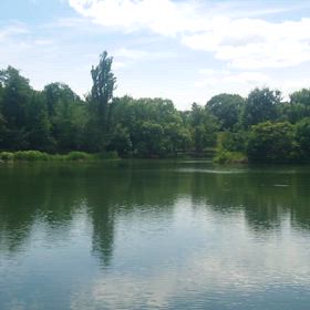 中島公園に行って来ました！の画像