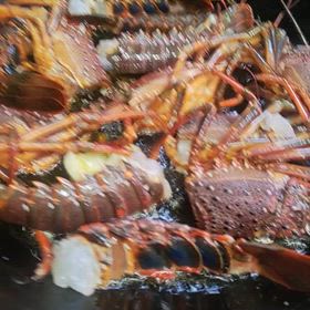 伊勢海老の画像