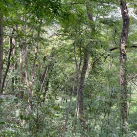 ☆すべては愛なんだってことの画像