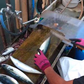 おはようございます☀️の画像