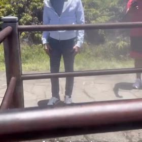 またHawaiiの画像