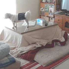 完全ふっか〜〜つ⭐の画像