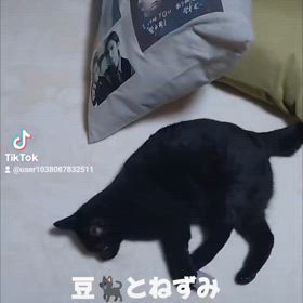 素敵なライブでした！の画像