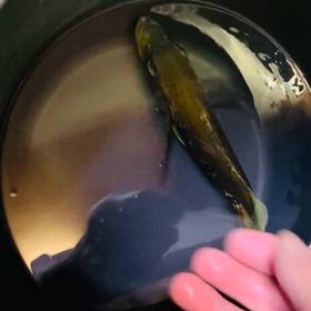 ★キクラ！★の画像