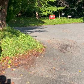 ひつじは、放牧地①に移動しました(^^)の画像