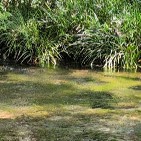 森野熊三(◠‿・)—☆の画像