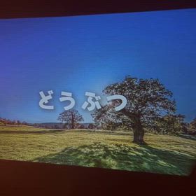 [pr]知育効果を感じる…の画像