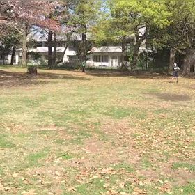 4/6 ジャベリックボール投げ①の画像