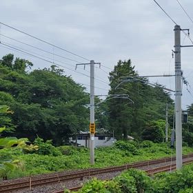 今日の657の画像