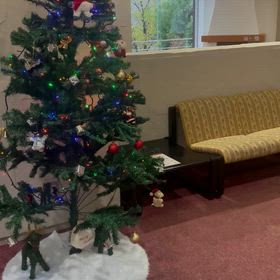 クリスマスツリーが飾られるの画像