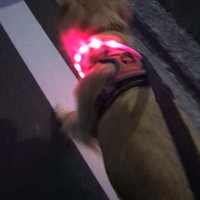 一人パレード✨️の画像