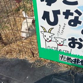 しばし、楽しみましたあ(*^^*)Vの画像