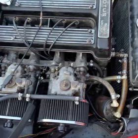 ロータスエランの画像