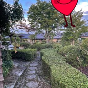 コーヒーの画像